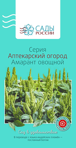 Амарант овощной

Однолетник. Использование в пищу салатов из свежих листьев и молодых стеблей укрепляет иммунную систему, восстанавливает силы, способствует омоложению организма. Очень популярны и полезны амарантовые чаи. Один-два листочка на чашку чая помогут избавиться от неврозов, головных болей, укрепят иммунную систему. Особую ценность представляют собой и семена амаранта. Получаемое из них масло обладает совершенно уникальными целебными свойствами и высоко ценится во всем мире. Теплолюбив, всходы легко поражаются весенними возвратными заморозками. Для получения крепкой рассады пикировку сеянцев проводят в фазу появления одного-двух настоящих листьев.