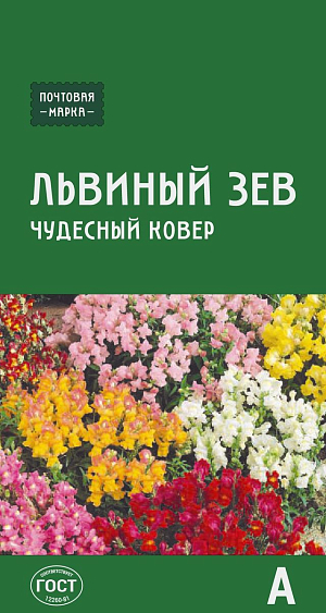 Семена Львиный зев Чудесный ковёр

Веселая яркая смесь с обильным и продолжительным цветением. Растения карликовые, сильноветвистые, смыкаясь, образуют пестрый цветущий ковер. Кистевидные ароматные соцветия длиной 7 см могут быть самых разнообразных окрасок: от светлых и нежных до насыщенно-пурпурных или двуцветных. Цветки долго не увядают. Холодостоек, неприхотлив. Высаживают в бордюрах, на клумбах группами, в контейнерах.