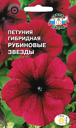 Семена Петуния Рубиновые звезды гибридная.
Однолетник.
Высота 40-45 см.
Диаметр 7-10 см.

Гибридная крупноцветковая низкорослая форма петунии, устойчивой к неблагоприятным погодным условиям. Растение мощное, сильноветвистое, высотой 40-45 см. Стебли и листья опушены простыми и железистыми волосками. Цветки крупные, рубиново-красные с темными прожилками по центру лепестков, диаметром 7-10 см. Цветение очень обильное с июня до заморозков, как при солнечной погоде, так и в холодные, пасмурные дни. Предпочитает расти на открытых солнечных местах и любой, достаточно плодородной почве. Засухоустойчива. Используется для выращивания в клумбах, рабатках, больших цветочных массивах, в балконных ящиках и контейнерах, подвесных корзинах.