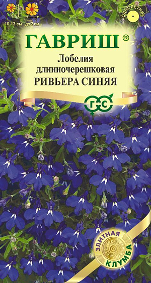 Южное многолетнее растение, отлично растет и обильно цветет в нашей зоне как однолетнее. Ультраранняя серия лобелий Ривьера, зацветает в среднем на 2 недели раньше, чем аналогичные сорта, отличается чистыми яркими оттенками, компактным ростом и продолжительным периодом декоративности. Шарообразные кусты высотой 10-13 см, усыпанные мелкими синими цветами, изумительно смотрятся на газоне в виде объемных цветочных островков. В сочетании с сортами Ривьера белая и Ривьера розовая растения высаживают в виде пышного разноцветного бордюра, украшают края цветников и контейнеров. Продолжительность и обильность цветения увеличиваются при своевременном удалении отцветших стеблей. Размножают семенами, посев которых производят в феврале - апреле. Для равномерности посевов семена смешивают с сухим песком в соотношении 1:50 и не заделывают.
