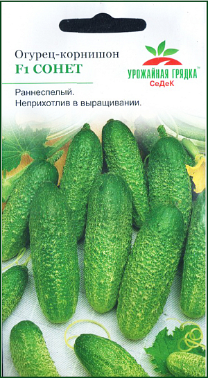 Семена Огурец Сонет F1
