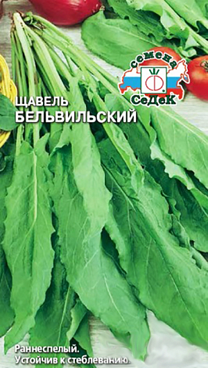 Семена Щавель Бельвильский