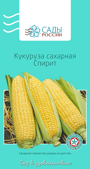 Кукуруза Спирит