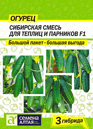 Огурец Сибирская коллекция Для теплиц и парников