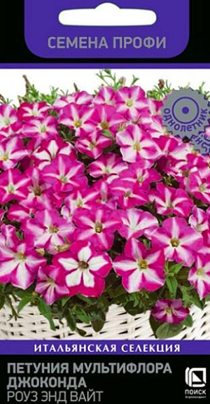 Петуния мультифлора Джоконда Роуз энд Вайт<br>
 <br>
 Непрерывно цветут с ранней весны до поздней осени.&nbsp;За счёт интенсивного ветвления, растение производит огромное количество цветов в течение всего периода вегетации. Разрастается до 1 м в диаметре. Высота растения 25-30 см. Размер цветка - 7 см. Окраска - розовая с белой звездой. Способность адаптироваться к широкому диапазону температур от минус 5°С до плюс 40°С. Продолжает расти при низких температурах. Устойчива к серой гнили. Прекрасно подходит для создания парадных клумб и в качестве контейнерной культуры.<br>