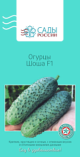 Огурец Шоша 5шт