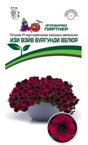 «Изи Вэйв» - петуния с улучшенной окраской и сильным цветком, невероятно устойчивым к воздействию ветра и дождя. Дословно переводится как «легкая волна». И это не удивительно, ведь главной целью было создание легкого в уходе гибрида, который бы хорошо себя проявлял в условиях короткого дня. Она сумела доказать свою исключительную выносливость противостоять любым катаклизмам погоды и великолепно чувствовать себя в условиях жары и холода. Своим появлением «Изи Вэйв» «взбудоражила» цветоводов, ландшафтных дизайнеров, профессионалов и производителей рассады. Полюбилась она за исключительную выравненность, мощь, а также яркое и неугомонное цветение. Благодаря многочисленному ветвлению, растение образует красивую крону в форме купола с плотным расположением цветков по всему кусту. При посадке в открытый грунт одно растение с легкостью закрывает площадь около 1,5 м² и образует красочный живой ковер. Очень быстро восстанавливается после дождя и ветра. Это лучший выбор для балконов, беседок, клумб и высоких вазонов с размещением на уровне глаз. Чтобы петуния полностью раскрыла свой потенциал, рекомендуем объем кашпо 15 л и более на одно растение и схему посадки в грунте – 60х60 см