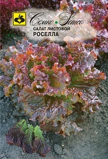 Семена Салат Роселла