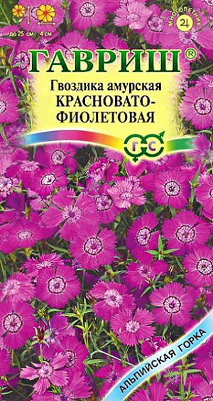 <div>
 Семена Гвоздика амурская, Красновато-фиолетовая.
</div>
 <article>
<p>
 Многолетнее низкорослое растение высотой 20-25 см. с сизыми листьями. Цветки изящные розовые с темным пятном в середине, довольно крупные, до 4 см. в диаметре. Массовое цветение в июне-июле, одиночные цветки появляются вплоть до сентября. Предпочитает солнечное местоположение, плодородную, некислую, суглинистую садовую почву. Не переносит переувлажнения и особенно застоя воды. Морозостойкое и холодостойкое. Посев в открытый грунт в мае, на рассаду в январе-марте. Всходы появляются на 10-14 день. Сеянцы пикируют в фазе двух-трех пар настоящих листочков. На постоянное место высаживают в начале мая или августе-сентябре, выдерживая расстояние между растениями 25-30 см. Образует густые заросли, изящные «коврики» и «подушки», заменяющие газон. Их используют для окаймления бордюров и украшения альпийских горок.
</p>
 </article>