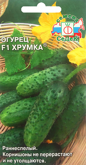 Огурец Хрумка F1 Огурец Хрумка F1