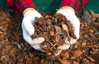 Компостная куча осенью: как превратить гору ботвы и листьев в черное золото к новому сезону? Лайфхаки быстрого приготовления