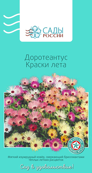 Доротеантус Краски лета

Разветвленное стелющееся неприхотливое растение комфортно чувствует себя даже на самых бедных песчаных почвах при минимальном поливе. Цветки раскрываются только на солнце. Полив нечастый и исключительно в утренние часы. Холодостойкий.