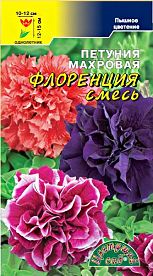 Семена Петуния Флоренция смесь.<br>
 <br>
 Новая компактная форма крупноцветковой махровой петунии. растение образует кустик высотой не более 40 см., усыпанный крупными насыщенно окрашенными соцветиями, достигающими в диаметре 12 см. Петуния идеально подходит для групповых посадок, балконных ящиков, вазонов и цветочных горшков. Она неприхотлива, отлично чувствует себя даже в условиях большого города и будет радовать вас пышным цветением весь сезон! <br>
 <br>
 Выращивается рассадным способом, семена при этом лишь слегка присыпают легким грунтом или производят посев под стекло. в грунт рассаду высаживают, когда минует угроза заморозков. Петуния предпочитает богатую питательными веществами супесчаную почву на солнечном месте. Полив умеренный, так как петуния не переносит переувлажнения.<br>