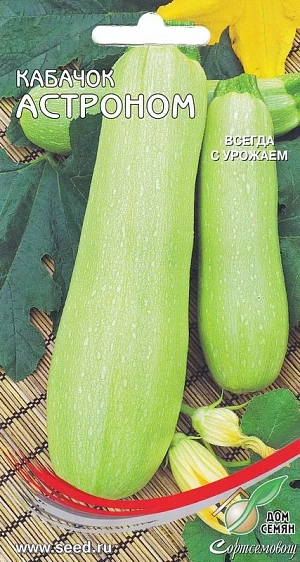 Кабачок Астроном