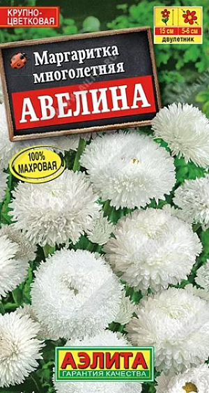 Семена Маргаритка крупноцветковая "Авелина".<br>
 <br>
   Прекрасная маргаритка с густомахровыми соцветиями диаметром 5-6 см. Растение компактное, с прочными, неполегающими цветоносами; отличается быстрым ростом, крепким здоровьем и высокой морозоустойчивостью. Образует ровный цветущий ковер с очень ранним и продолжительным цветением. Сорт красив в бордюрных посадках и контейнерной культуре. Идеально сочетается с ранне-весенними луковичными – тюльпанами, гиацинтами, нарциссами, с виолами и незабудками.<br>
 <br>
Посев. Семена высевают в открытый грунт в июне на постоянное место или на рассаду на отдельную грядку. Всходы появляются через 7-10 дней, их прореживают. Рассаду нужно высадить на постоянное место не позже августа. Зацветает на второй год весной. Растениям необходимы регулярные поливы, прополки, рыхления и подкормки. Для продления цветения необходимо удалять отцветающие корзинки.