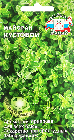Майоран Кустовой