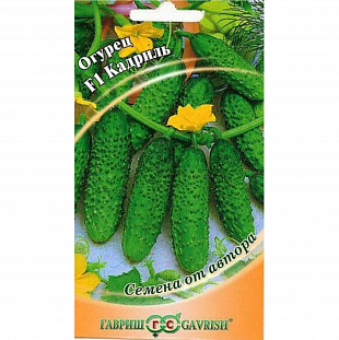 Семена Огурец Кадриль F1 Семена Огурец Кадриль F1