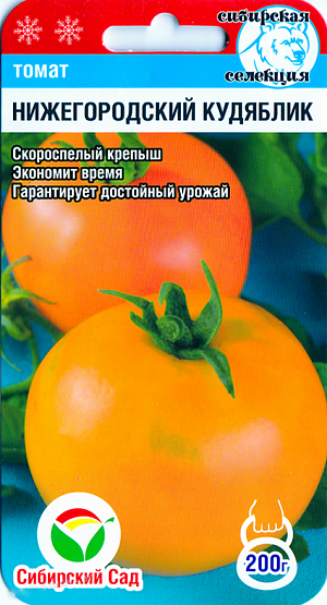 Семена Томат Нижегородский кудяблик