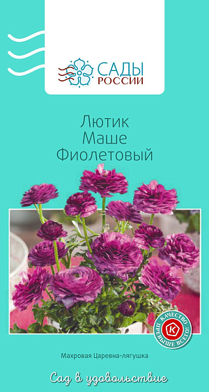 Лютик Маше Фиолетовый

Лютики (ранункулюсы) азиатские, или садовые, – удивительные, очаровательные цветы, напоминающие маленькие розочки или слегка распустившиеся пионы. Они восхищают многих садоводов-любителей и всё же остаются пока довольно редкими гостями на наших участках. Ранункулюсы разных окрасок и оттенков в период массового цветения образуют необыкновенное по красоте море цветов.
Перед посевом семена замочить в воде на 2–4 часа. Для субстрата подойдет чернозем, обогащенный торфом. Также необходим дренажный слой и хорошее освещение сеянцев. Плохо переносит пересадки. Полив каждые 2–3 дня. Зацветает на следующий год. Теплолюбив, рассаду высаживают в грунт после того, как минует угроза возвратных заморозков.