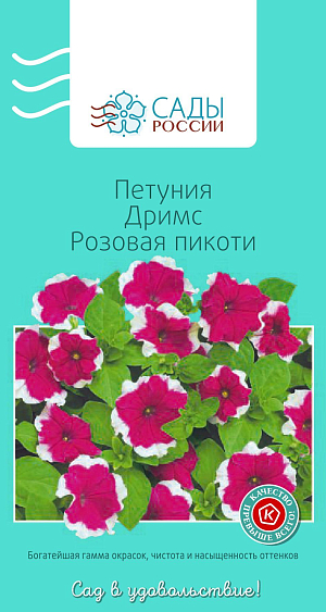 Петуния Дримс Розовая пикоти

Крупноцветковая петуния серии «Дримс» удачно сочетает обильное цветение и крупные, до 12 см в диаметре, цветки. «Пикоти» означает, что по краю цветка идет контрастная белая кайма. Растения компактные, хорошо разрастаются. Рассаду высаживают в грунт после того, как минует угроза возвратных заморозков.