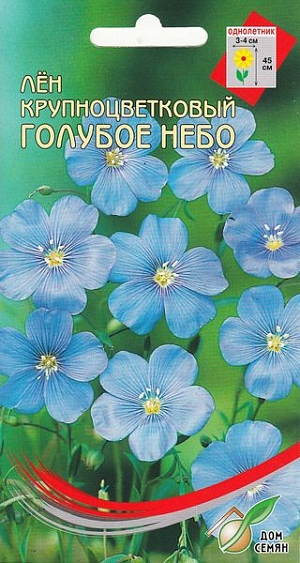Однолетнее неприхотливое травянистое растение. Посев семенами на рассаду с середины апреля. Чтобы ускорить процесс проращивания, можно создать легкие условия парника, для этого емкость необходимо обтянуть полиэтиленовым пакетом либо пленкой. Через 5-10 дней появляются первые всходы, после чего растения можно освободить от полиэтиленового купола. После того как на рассаде появятся 2 настоящих листика, растения можно пересаживать в отдельные вазоны. С процессом затягивать не стоит, так как лен растет быстро. Цветет с июня по сентябрь.