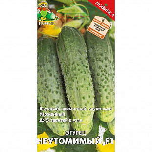 Семена Огурец Неутомимый F1