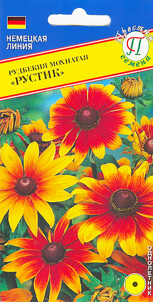 Семена Рудбекия мохнатая Рустик.
Многолетник. Высота куста около 60см. Растение имеет крупные цветки кирпично-красных оттенков, прямой рост, богатое цветение, медонос. Обязательное растение для любого цветника. Растение высаживают на дальнем плане одиночно или небольшой группой. Посев на рассаду февраль-март. Семена равномерно распределяют по поверхности влажного субстрата, слегка присыпают вермикулитом и поддерживают постоянную влажность, но не допускают переувлажнения. Для прорастания растения необходима температура 20-24 о С, всходы появляются на 7-15 день. 