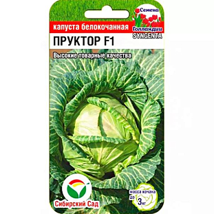 Семена Капуста белокочанная Пруктор F1