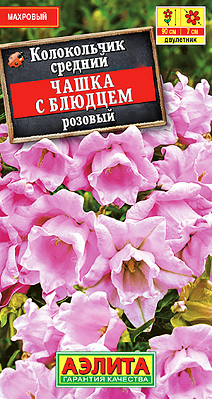 Семена Колокольчик Чашка с блюдцем розовый.
Высокорослый (80-90 см) колокольчик с крупными махровыми цветками ø 5-7 см. Выделяется среди других колокольчиков эффектным двойным околоцветником. Используется для оформления цветников и на срезку. Хорошо сочетается с декоративными злаками, нивяником, васильками, тысячелистником.
Агротехника. Семена сеют на отдельную разводочную грядку. Заделка должна быть самой минимальной. Необходимо не допускать пересушивания посевов. Подросшие розетки в августе высаживают на постоянное место. Участок должен быть солнечным, с плодородными почвами нейтральной кислотности. На зиму слегка укрывают. На следующий год отрастающие побеги подвязывают к кольям. Растения светолюбивые, холодостойкие; влаголюбивые, но застойной влаги не любят.