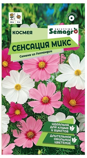 Семена цветов Semagro космея Сенсация микс.