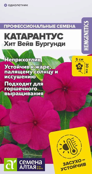 Неприхотливое засухо- и жароустойчивое растение. Быстро разрастается и хорошо ветвится, формируя компактный густой кустик. Цветение продолжительное и обильное в течение всего сезона. Цветки крупные, винного цвета. Отлично подойдет для выращивания в балконных ящиках, кашпо и на клумбах.
Высота растения: 20-30 см
Ширина растения: 20-30 см
Диаметр цветка: 3-5 см
Условия выращивания, место посадки: хорошо освещенные места
Требования к грунту: питательный легкий грунт (рекомендуется добавить вермикулит и песок) с нейтральной кислотностью
Способы выращивания: рассадный