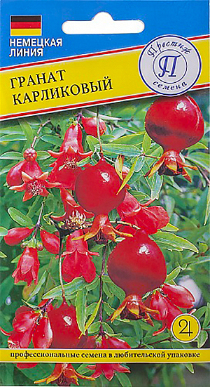 Семена Гранат Карликовый.
Многолетник. Высота растения до 1 м. Диаметр соцветия до 4 см. Высев семян проводится осенью или весной. Перед высевом семена желательно замочить на сутки в стимулирующем растворе. Субстрат - торфяная земля с добавлением перлита или вермикулита. Всходы появляются через 2-3 недели. Когда растения подрастут на 5 см, их рассаживают в маленькие горшки. Цветет и плодоносит гранат обычно уже в возрасте 2-3 лет.Цветение продолжается с мая по август. Цветки у граната двух типов – кувшинчатые с длинными пестиками и колокольчатые с короткими пестиками. Первые дают плоды, вторые – нет. В летнее время желательно перенести гранат на свежий воздух, не на палящее солнце. В декабре растение обычно сбрасывает листья перед периодом покоя, который длится 2-3 месяца. Желательная температура в этот период 13-15 градусов.