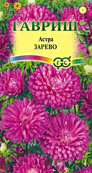 Семена Астра Зарево<br>
 <br>
 Растение высотой 25-35 см. Куст сомкнутый, шаровидной формы. Соцветия махровые, кармазиновой окраски, диаметром 4-5 см. Для выращивания подходят хорошо освещенные участки с плодородной суглинистой или супесчаной почвой. Астры обладают высокой холодостойкостью – хорошо переносят заморозки до -3-4°C. Выращивают, чаще всего, рассадным способом. Используются для получения срезки и оформления участка.<br>