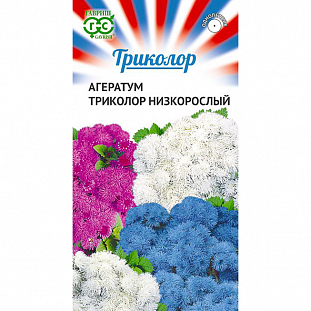 Агератум Триколор низкорослый смесь