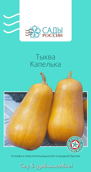 Тыква Капелька F1