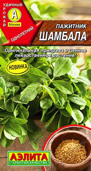 Пажитник Шамбала