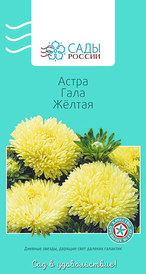 Астра Гала Жёлтая


Яркая, праздничная с крупными золотисто-желтыми густомахровыми шаровидными соцветиями на крепких цветоносах. Куст компактный. Холодостойка, выносит слабые заморозки до −3 °С.