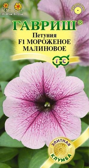 Семена Петуния крупноцветковая Мороженое малиновое F1<br>
 <br>
 Восхитительная гибридная петуния с суперранним обильным цветением. Компактные шаровидные растения высотой и диаметром 30-40 см усыпаны нежно-розовыми цветками диаметром 8-10 см, с выразительным жилкованием на лепестках. Растения выравнены по высоте, что очень важно при создании цветочных массивов и групп в профессиональном озеленении. Посев проводят поверхностно, не заделывая, с февраля по март, под стекло (после всходов стекло убирают). При зимнем посеве всходам необходима подсветка. Всходы появляются через 7-12 дней. На постоянное место высаживают, когда минует опасность заморозков. Цветет с конца мая весь сезон. Светолюбива и достаточно засухоустойчива. Предпочитает легкие, плодородные, хорошо дренированные почвы. Украсит клумбы, вазоны, балконные ящики, подоконники, низкорослые бордюры. Рекомендуется для профессионального озеленения и выращивания на продажу.<br>