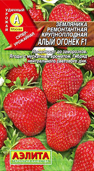 Семена Земляника (клубника) Алый огонёк ремонтантная крупноплодная F1