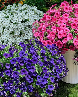 Набор супертуний №2