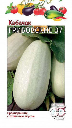 Семена Кабачок Грибовские 37