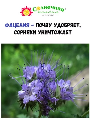 Сидераты Фацелия 0,5кг