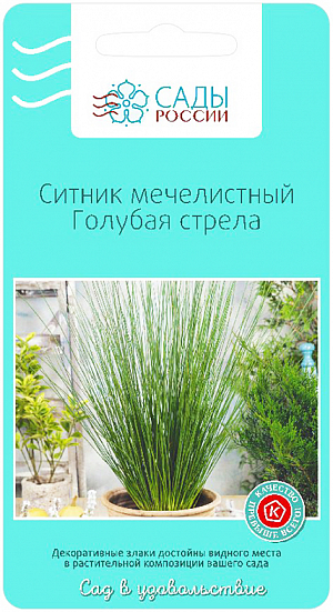Семена Ситник мечелистный Голубая стрела.
Оригинальное решение для пониженных и влажных участков с тяжелой землей. Невысокие кусты с сине-зелеными узкими прямостоящими листьями около 40 см. Для посадок у водоемов, каменистых садов и различных емкостей. Переносят кратковременную засуху. При посеве достаточно плотно прижать семена к земле и обязательно покрыть посев полиэтиленовым материалом.