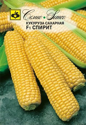 Семена Кукуруза Спирит F1