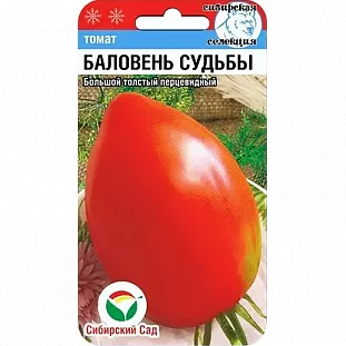 Описание 9 вкуснейших сортов зеленоплодных томатов для теплиц и открытого грунта