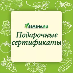 СЕРТИФИКАТЫ И ПОДАРКИ