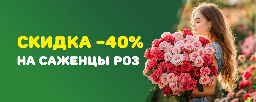 Скидка на розы 40% весна 2925