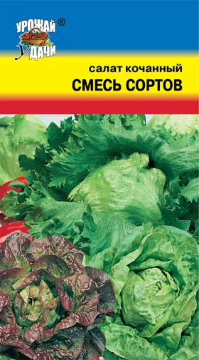 Семена Салат смесь кочанных сортов Семена Салат смесь кочанных сортов