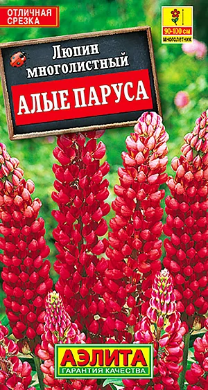 Самый лучший секс в вашей жизни, - Страница 3 - Про Это - садовыйквартал33.рф - Страница 3