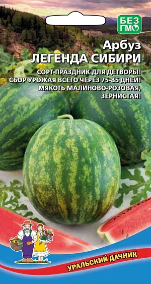 Купить семена Арбуз Легенда Сибири от Уральский дачник, 15649